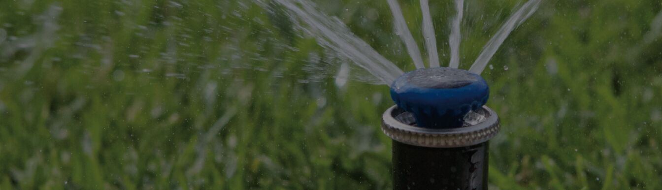 Pop-up spray head watering turf at low angle